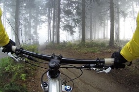 eMTBs und eTrekkingräder günstig leihen bei INTERSPORT Forster